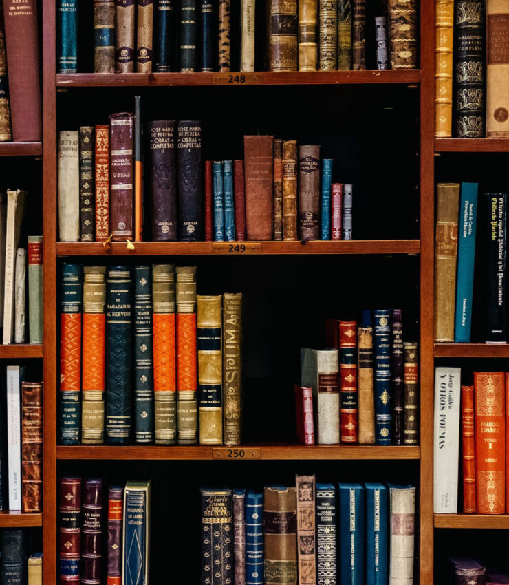 Advocacy in Adjudication - Adair