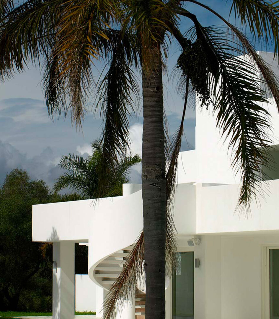 La Finca | Projects | Adair