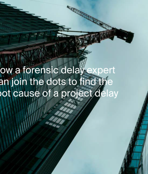How a forensic delay expert can join the dots - Adair